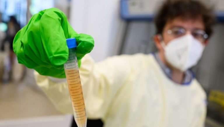 Chasse aux virus dans les égouts pour anticiper les épidémies