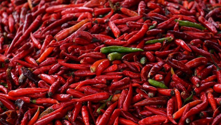 Défis sur les réseaux sociaux avec de la nourriture épicée, l&rsquo;enquête Nas commence en Italie