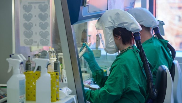 Maladie X, Pregliasco : « La nouvelle pandémie peut arriver demain ».  Voici les virus les plus dangereux