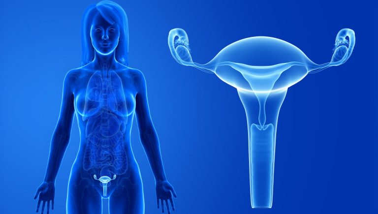Cancer du col de l&rsquo;utérus, l&rsquo;immunothérapie augmente la survie
