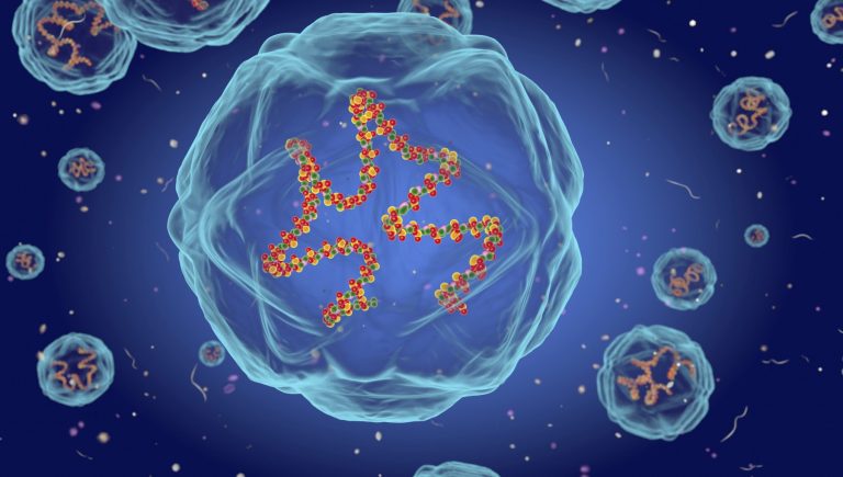 Myocardite, voici comment un virus peut saboter le rythme cardiaque et arrêter le cœur