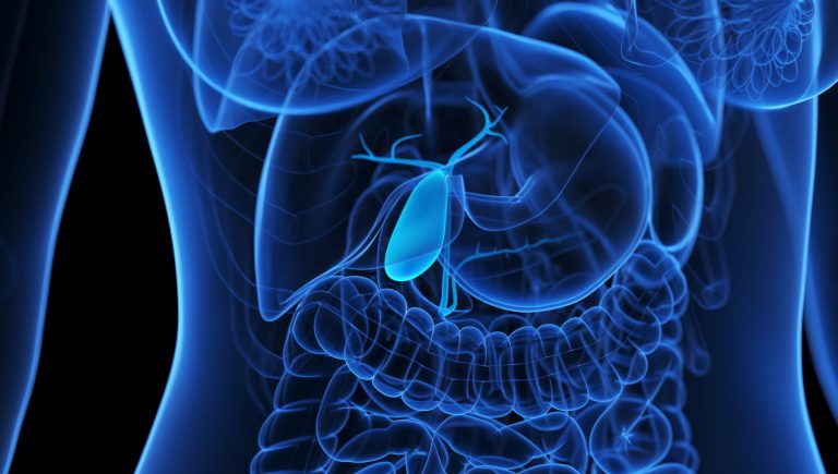 Cancer des voies biliaires, l'immunothérapie est efficace longtemps