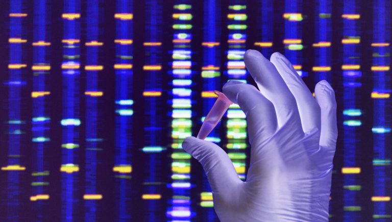 Oncologie et IA pour concevoir des traitements adaptés aux patients
