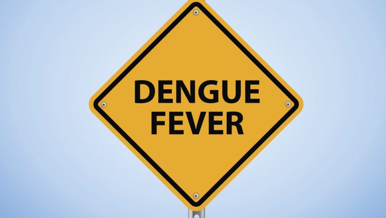 Dengue, la surveillance des infections commence