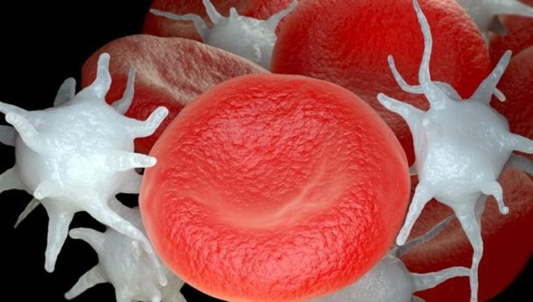 Lymphome à cellules du manteau : Aifa approuve une nouvelle thérapie ciblée