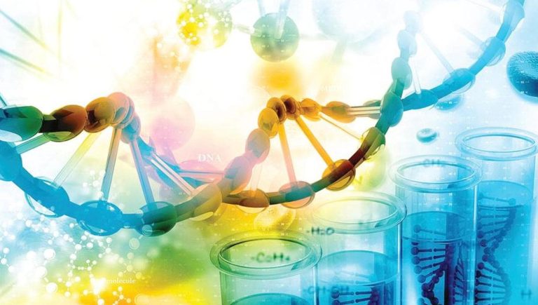 Cancer : les tests moléculaires seulement dans 40% des cas de cancer du poumon