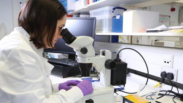 Cancer du sein « héréditaire », l&rsquo;efficacité du médicament ciblé confirmée