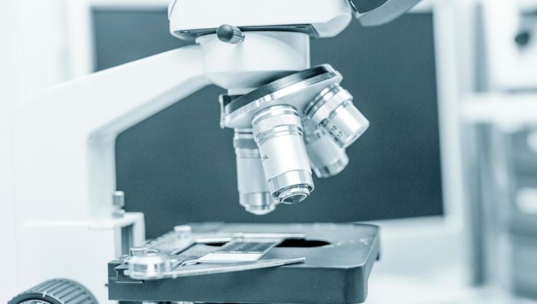 Tumeurs, à l&rsquo;avenir, les microorobots mous apporteront les médicaments dans le corps
