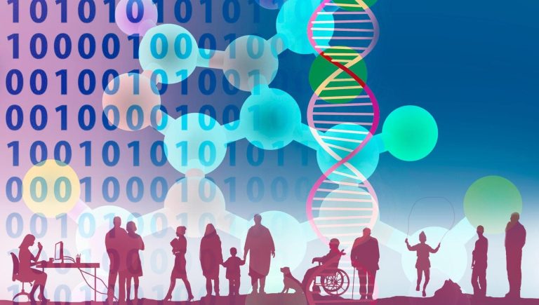 Tumeurs: créez un jumeau numérique pour les thérapies personnalisées pour chaque patient