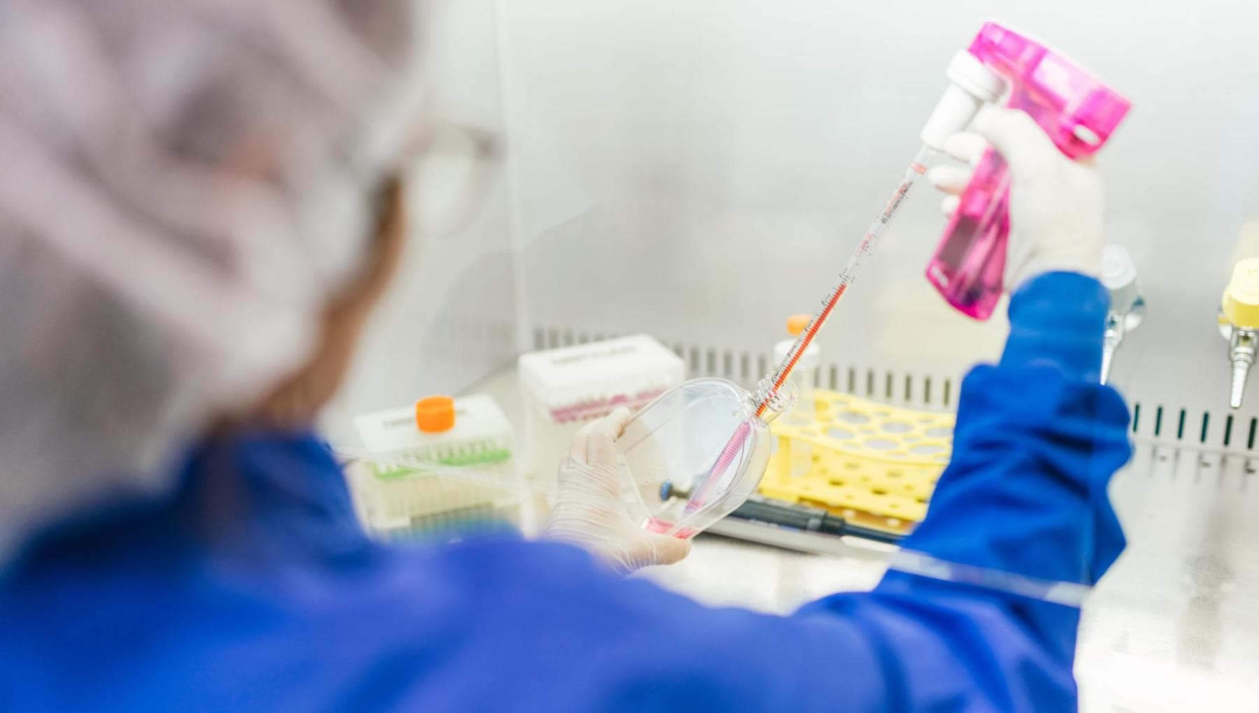 Une nouvelle thérapie cellulaire contre le glyoblastome