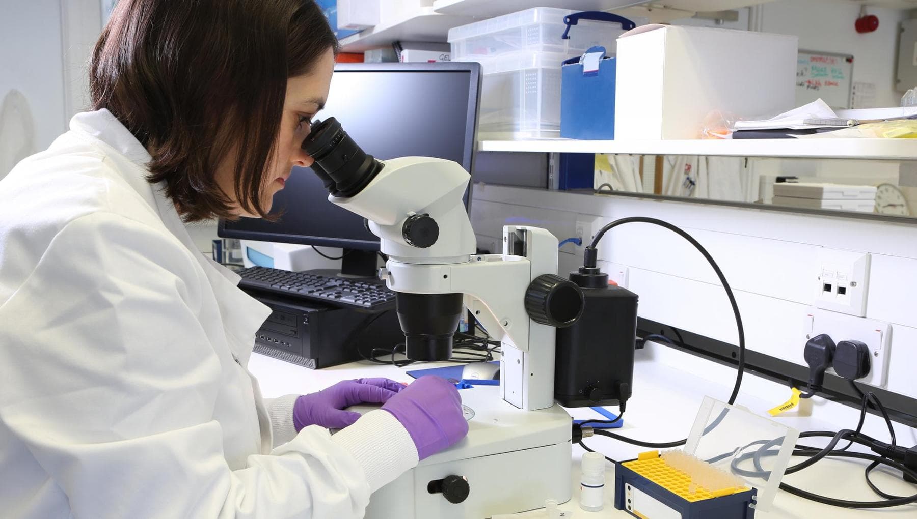 Cancer rectal, un patient sur quatre peut éviter la chirurgie