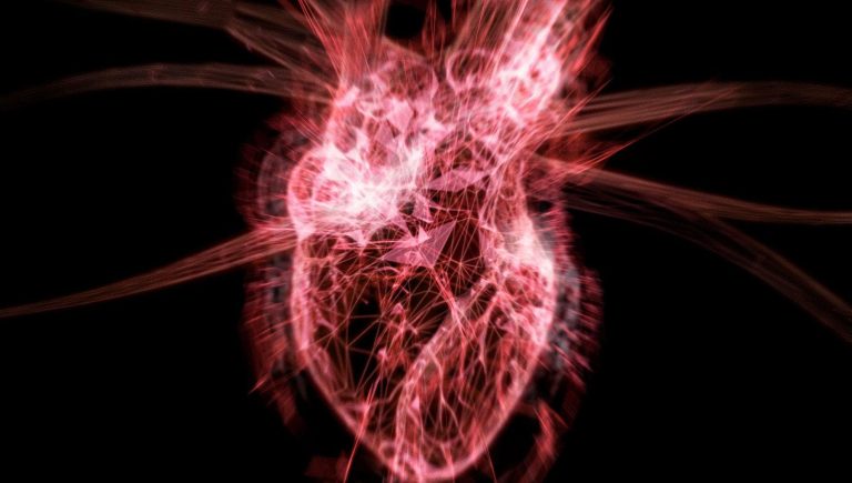 Bien traiter les maladies des valvules cardiaques prolonge la vie des personnes atteintes de cancer