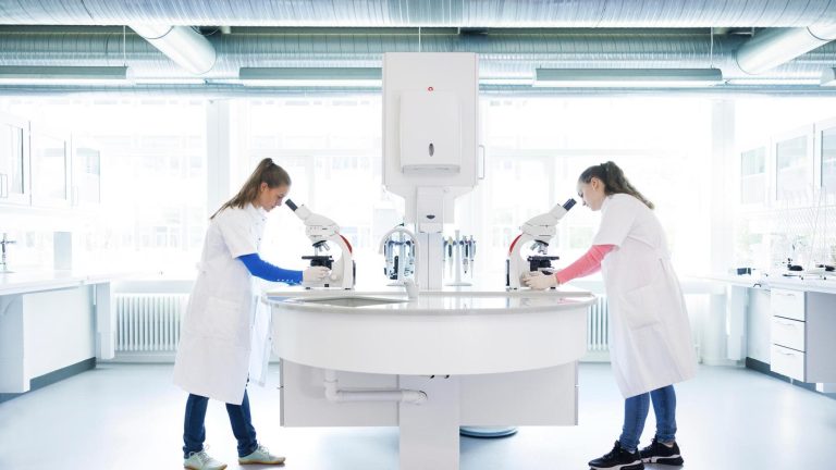 Cancer du pancréas, les nouvelles d&rsquo;Espagne : « Chez la souris éliminée avec un mélange de trois médicaments »