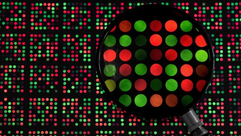 Cancer du sein, les « mutations Jolies » ne sont pas toutes pareilles. Les plus dangereux découverts
