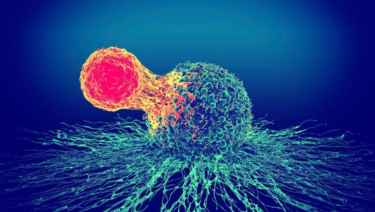 Reprogrammer les cellules pour lutter contre le cancer : la révolution de la biologie synthétique