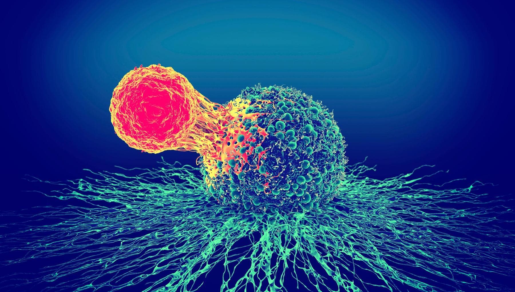 Reprogrammer les cellules pour lutter contre le cancer : la révolution de la biologie synthétique