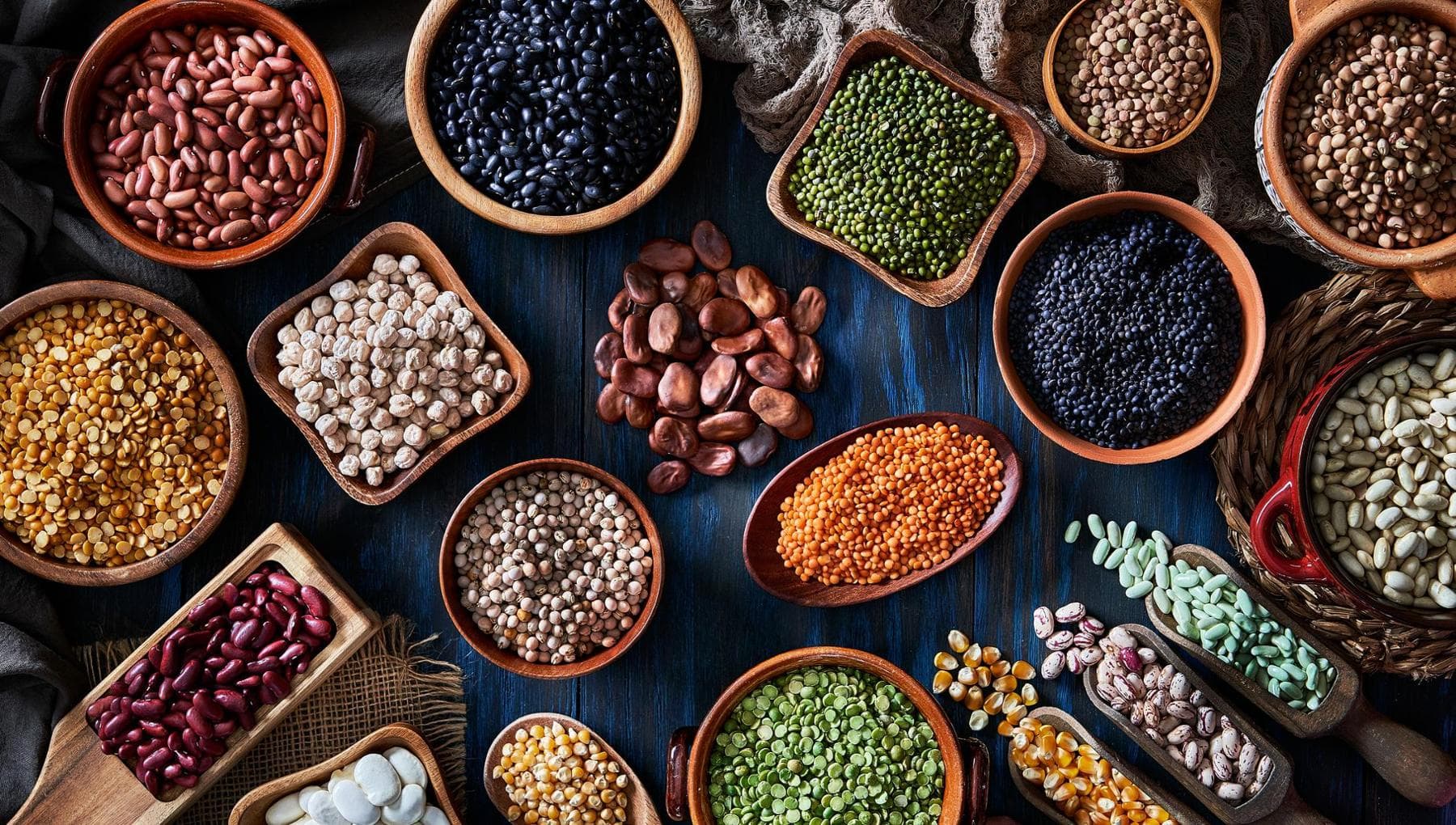 Les légumineuses, alliées précieuses de la santé : propriétés et caractéristiques