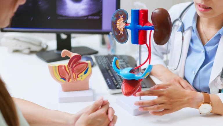 Vessie, la tumeur est combattue grâce à un diagnostic précoce et de nouveaux médicaments