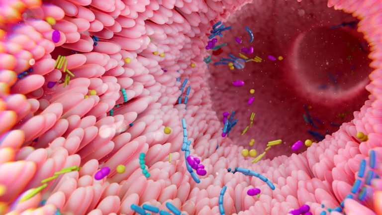 Les bactéries, champignons et virus influencent la biologie du cancer. Voici comment les étudier