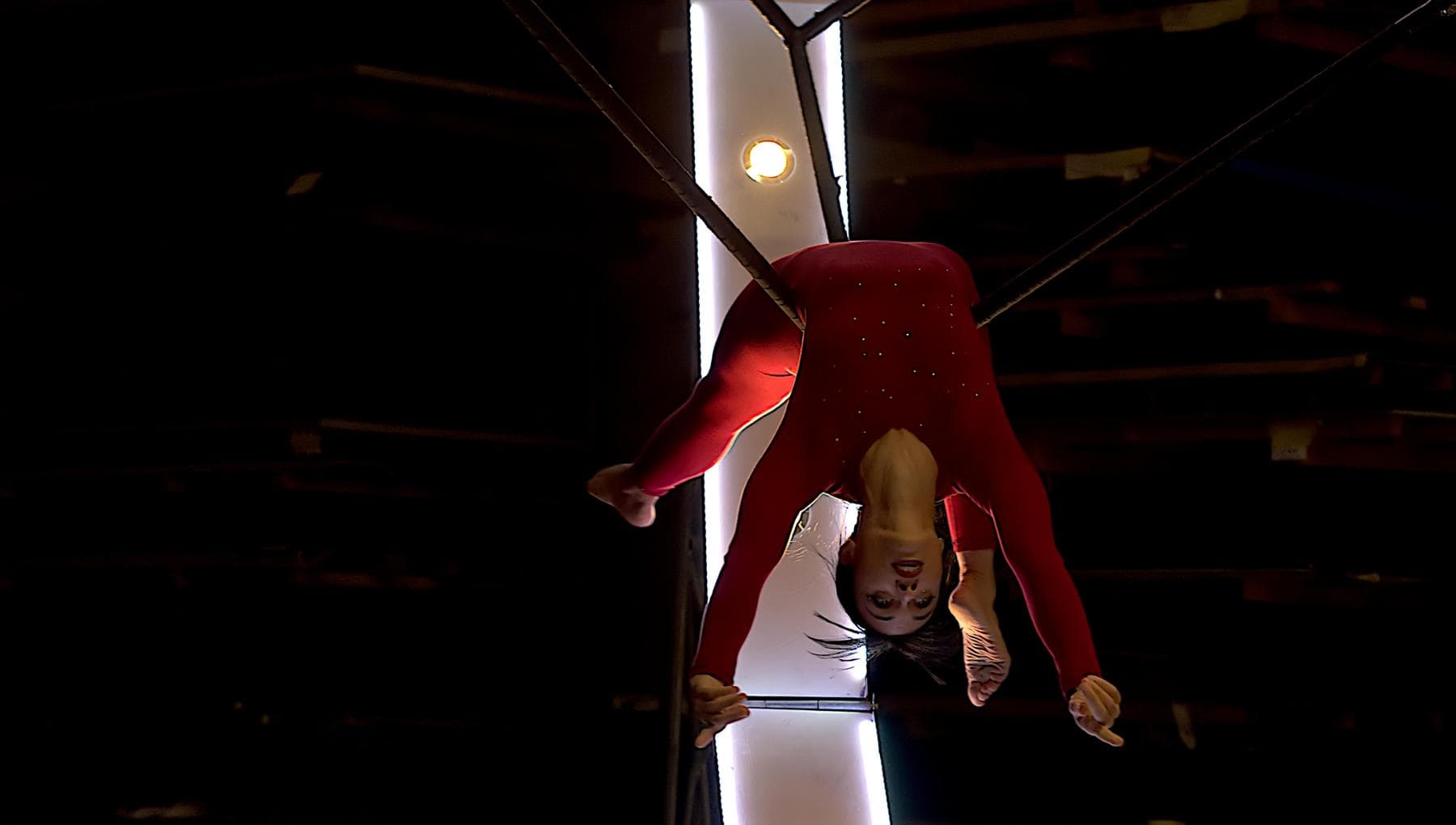 Silvia : « Moi, acrobate aérienne, j'ai transformé le cancer du sein en un nouveau vol »