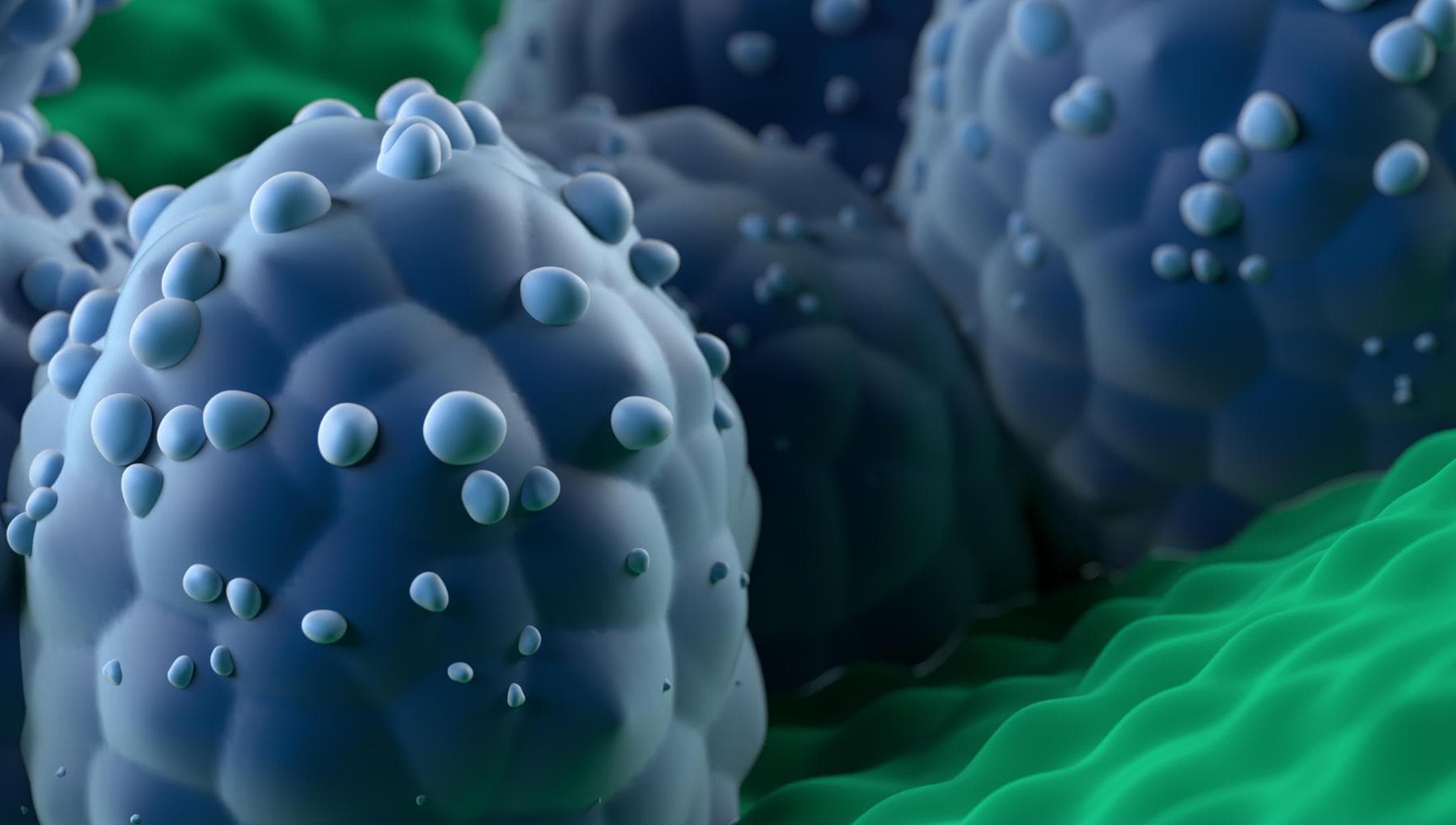 Cancer de la prostate, une nouvelle stratégie pour réduire les biopsies inutiles