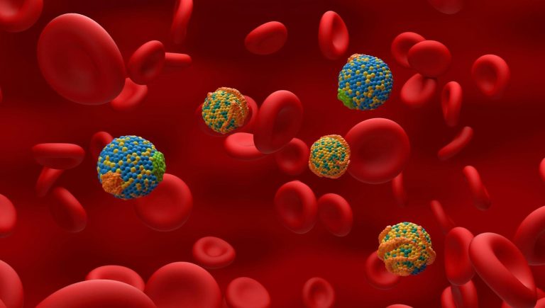 Cholestérol, il existe une nouvelle valeur sanguine qui « signale » qui est le plus à risque de crise cardiaque et d'accident vasculaire cérébral


