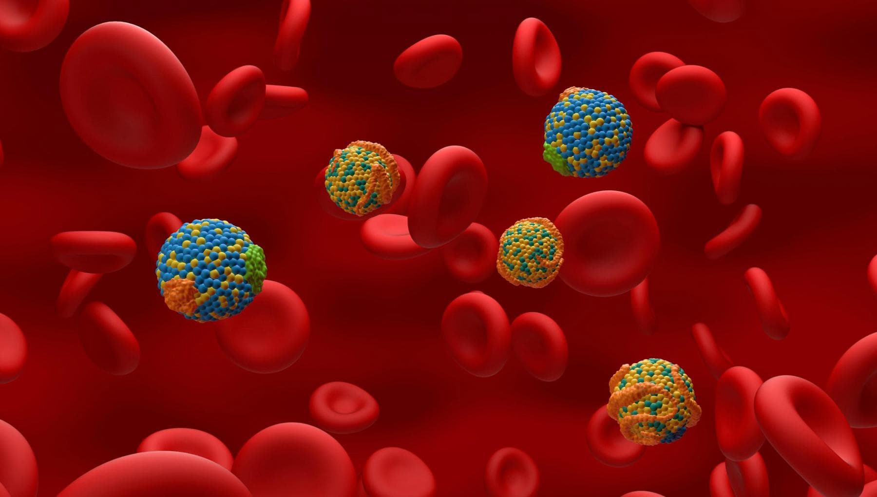 Cholestérol, il existe une nouvelle valeur sanguine qui « signale » qui est le plus à risque de crise cardiaque et d'accident vasculaire cérébral