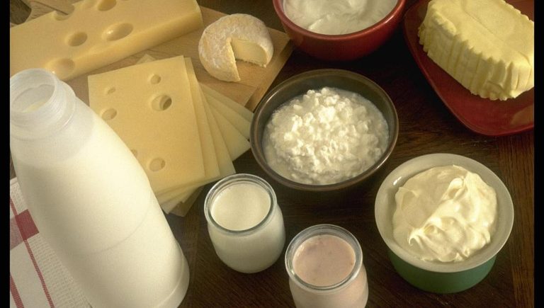 Le lait entier et les produits laitiers ne font pas grossir