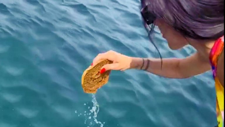 Friselle à l'eau de mer ? Oui, mais seulement s'il vient du supermarché


