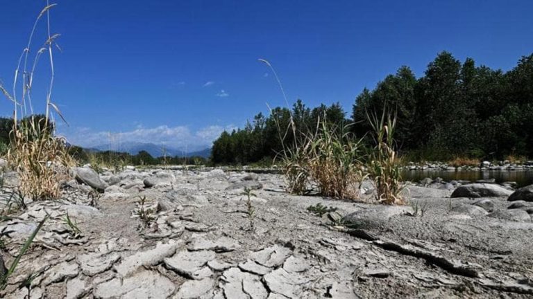 L'insuffisance cardiaque, associée à un climat extrême et à une chaleur torride, augmente le risque d'hospitalisation


