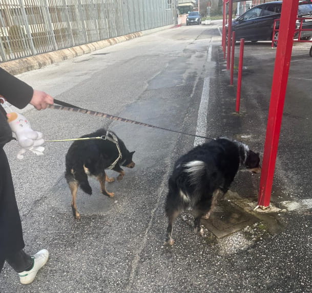 Pline et Lilli arrivent à la prison de Spolète