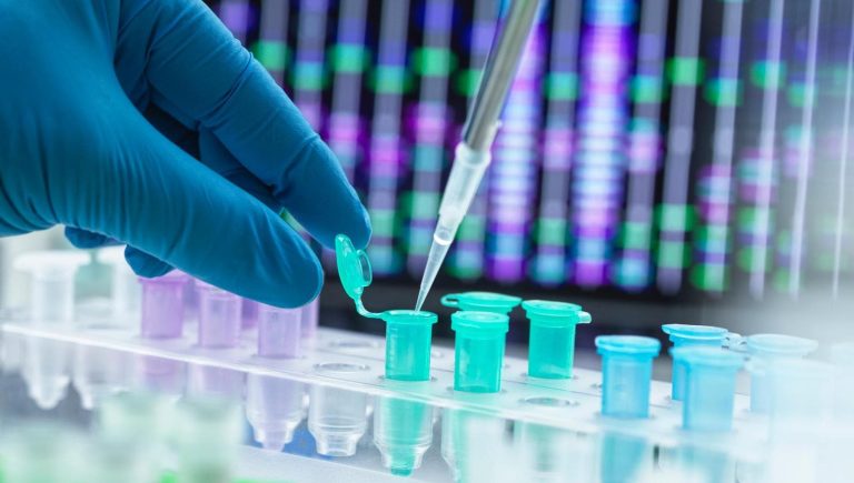 Cancer du pancréas : deux nouvelles études pour améliorer le traitement de la maladie


