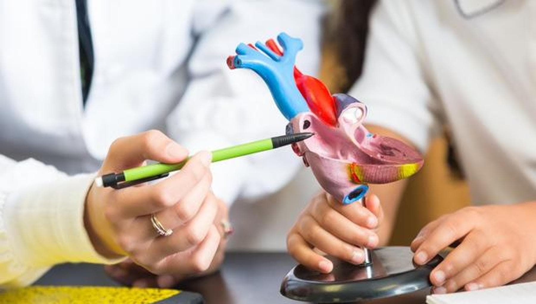 Cardiologie interventionnelle : plus de 500 000 interventions en Italie