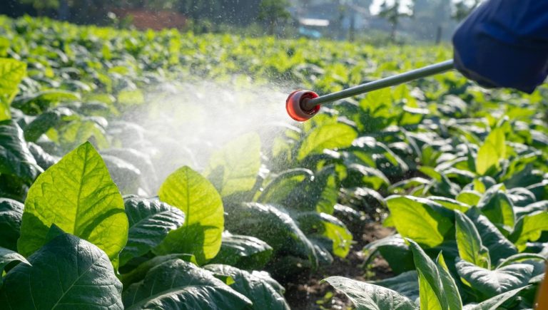 Pesticides et biocides, l'Europe veut simplifier les règles. Mettre notre santé en danger


