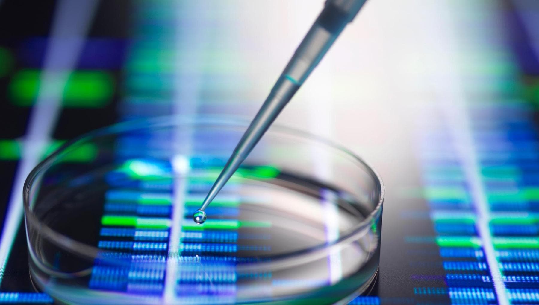 Tumeurs : un plan d’action pour une oncologie de précision toujours plus équitable et accessible