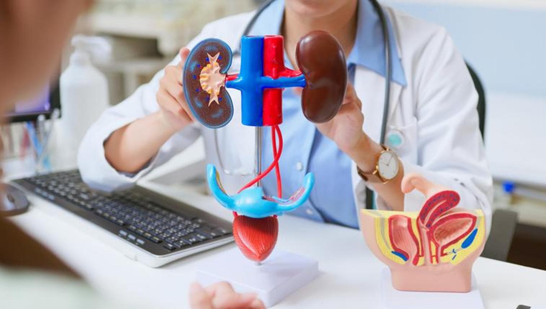 Le cancer de la vessie, l'immunothérapie et les médicaments ciblés réduisent le risque de décès de 42 %.