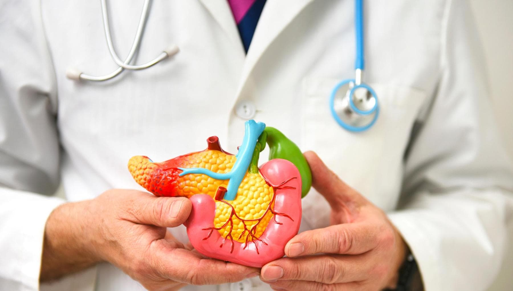 Thérapies du cancer du pancréas : nous sommes sur la bonne voie